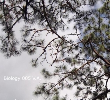 [Release] Various – Biology 005 (BioRecordings)