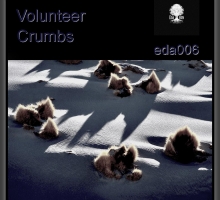 Volunteer – Crumbs EP