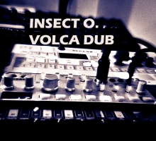 [Free Dub Techno Track] Insect O. – Volca Dub