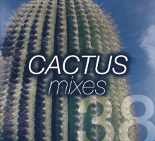Miruga – Cactus Mix 038