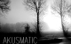 [SWM011] Akusmatic – Schimmerling